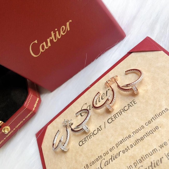 Cartier Earrings CE9691