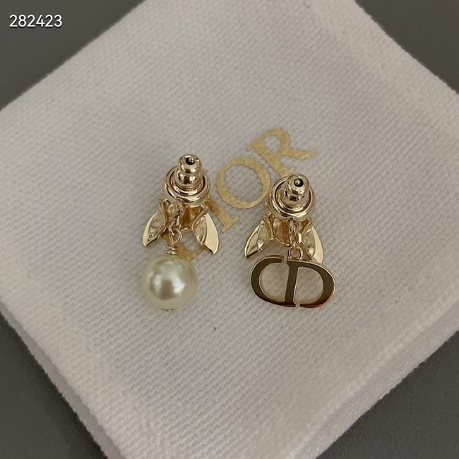 Dior Earrings CE9821