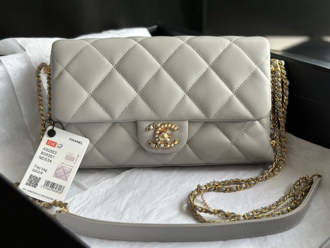 CHANEL FLAP BAG Lambskin & Gold-Tone Metal AS2563 light gray