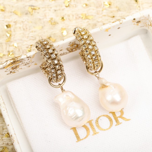 Dior Earrings CE9955