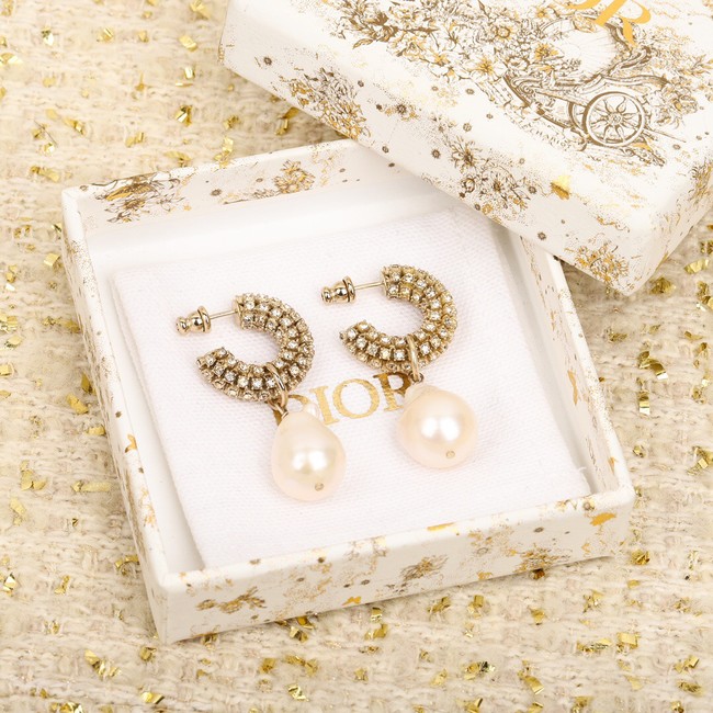 Dior Earrings CE9955