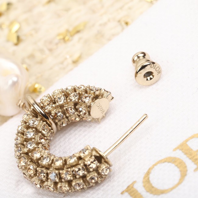 Dior Earrings CE9955