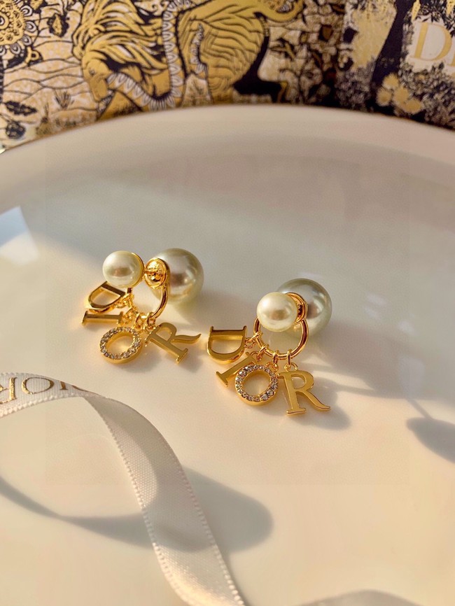 Dior Earrings CE10071