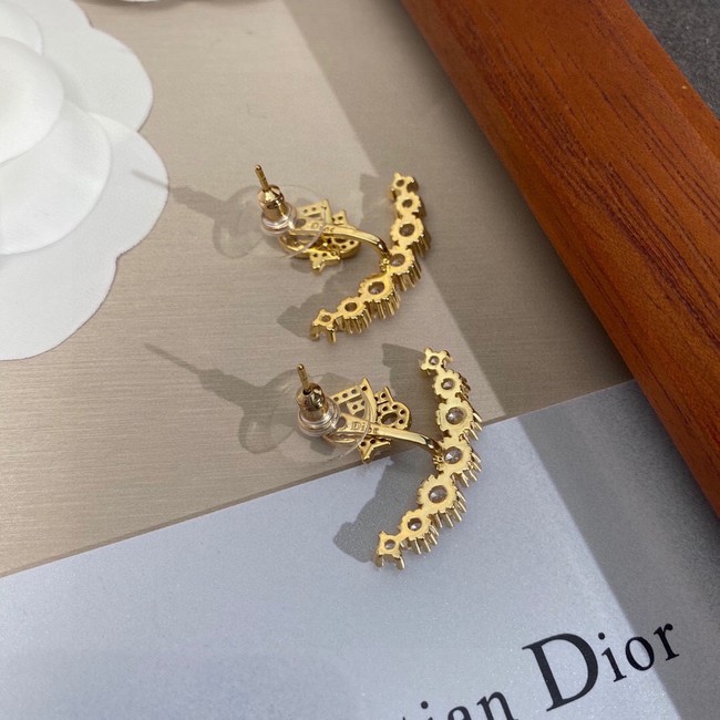 Dior Earrings CE10072