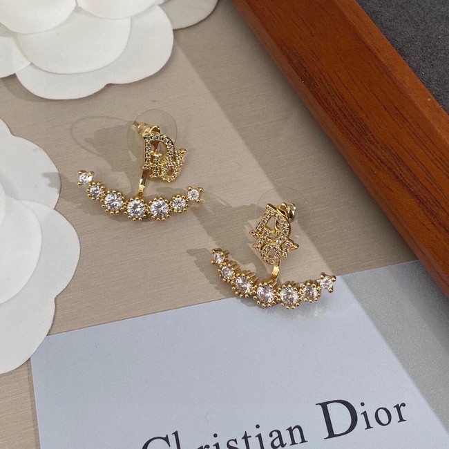 Dior Earrings CE10072