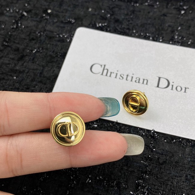 Dior Earrings CE10093