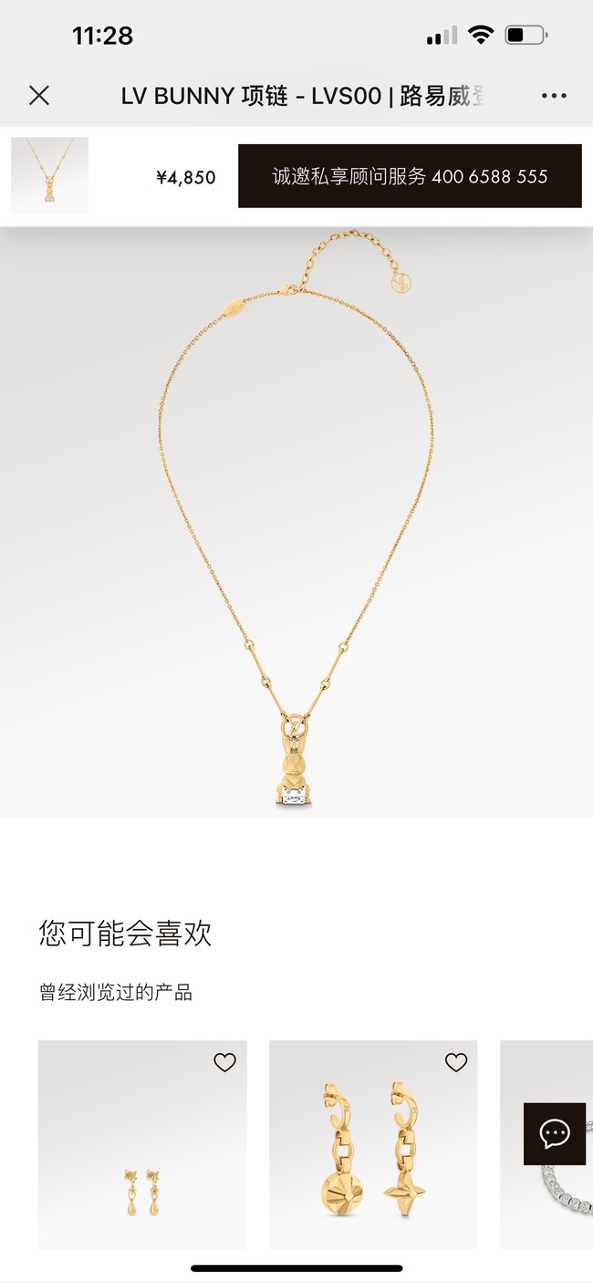 Louis Vuitton Necklace CE10085