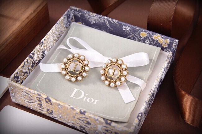 Dior Earrings CE10147