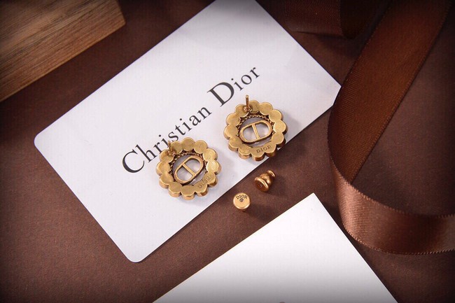 Dior Earrings CE10147