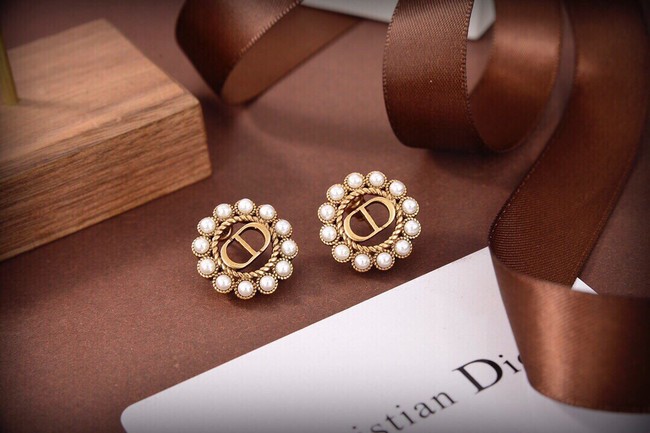 Dior Earrings CE10147