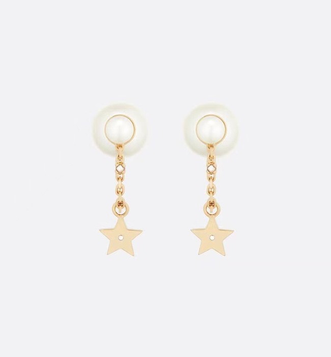 Dior Earrings CE10148