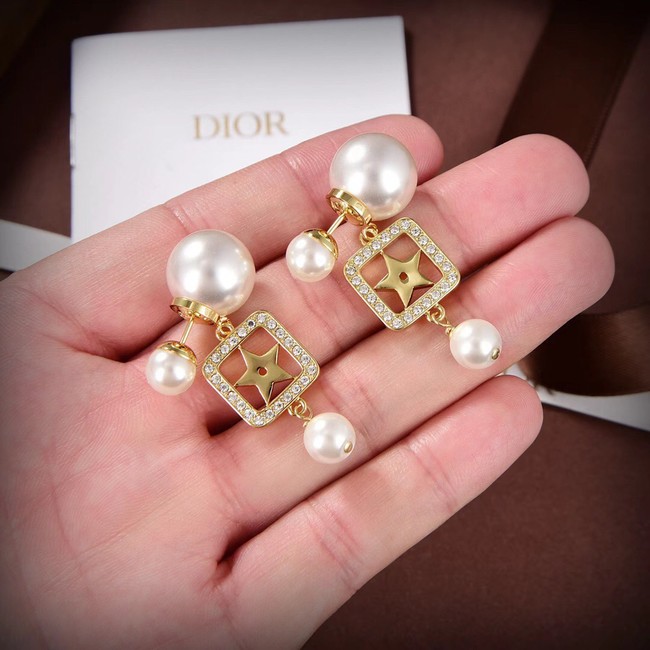 Dior Earrings CE10150