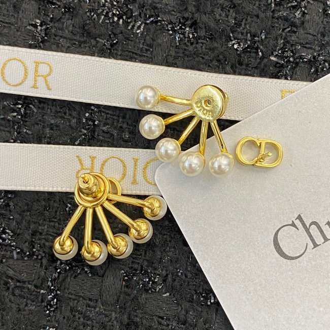 Dior Earrings CE10205