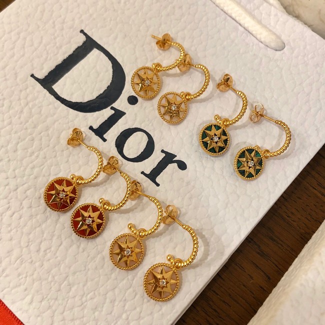 Dior Earrings CE10248