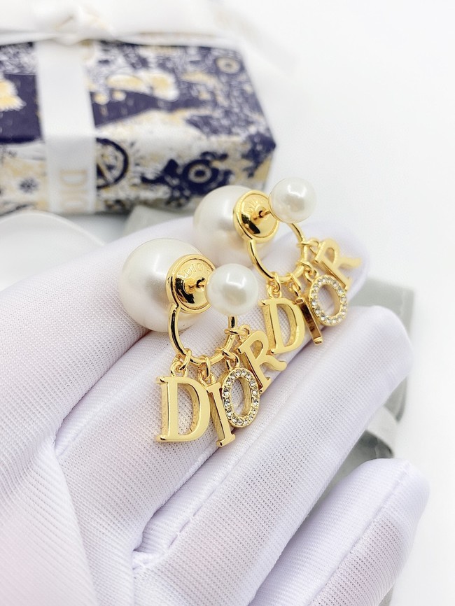 Dior Earrings CE10290