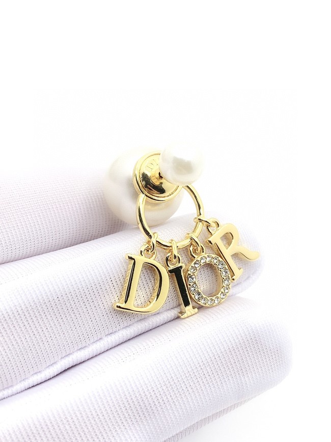 Dior Earrings CE10290