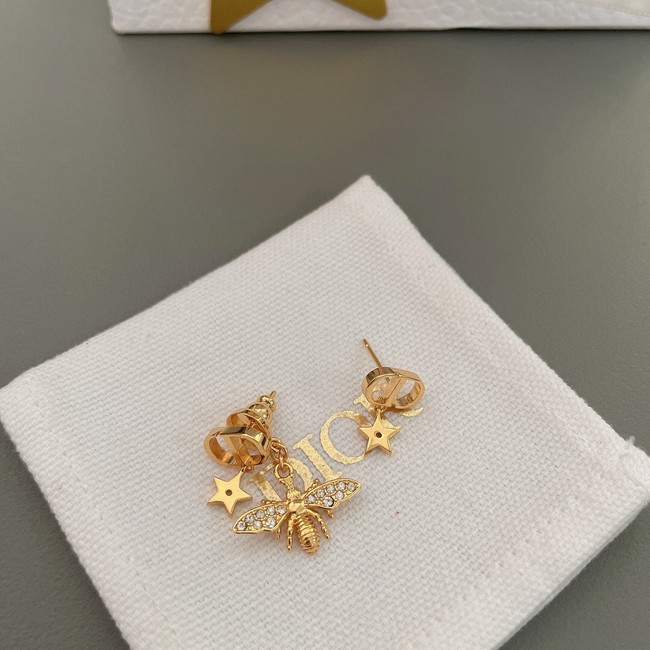 Dior Earrings CE10370