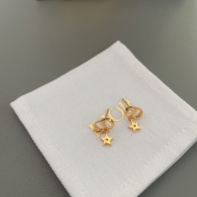 Dior Earrings CE10370