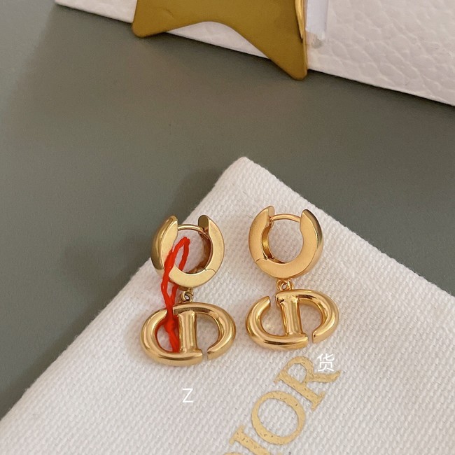 Dior Earrings CE10372