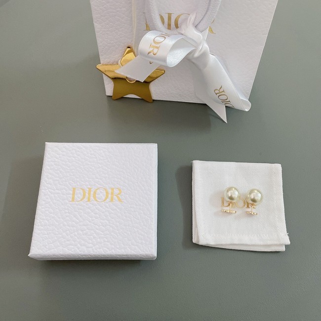 Dior Earrings CE10373