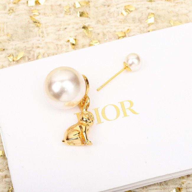 Dior Earrings CE10428