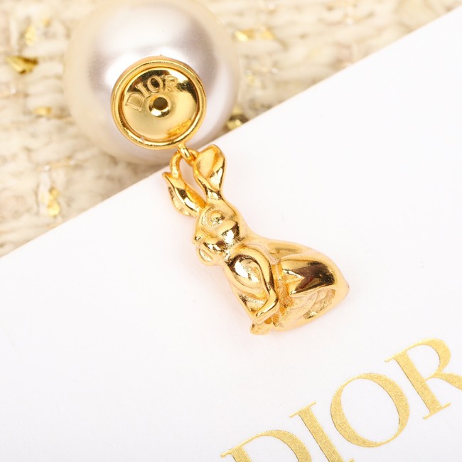 Dior Earrings CE10428