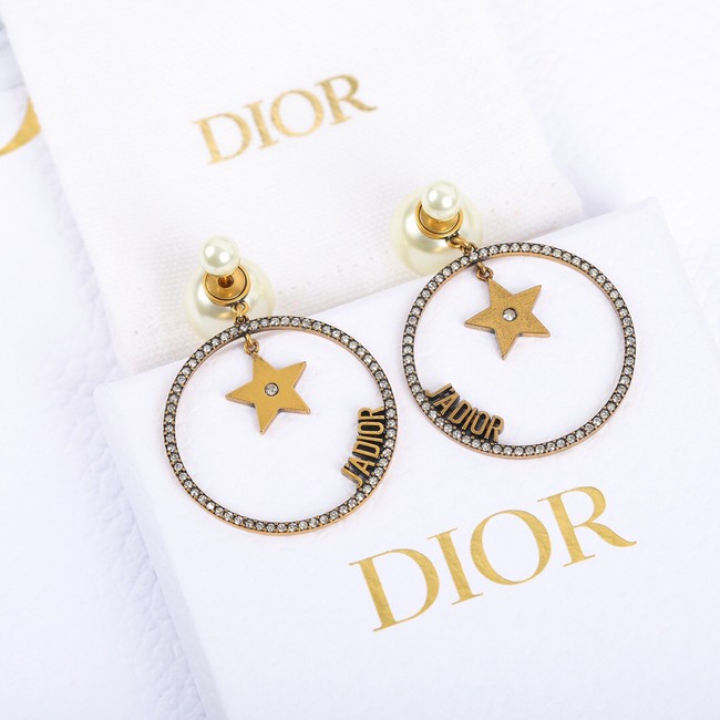 Dior Earrings CE10432