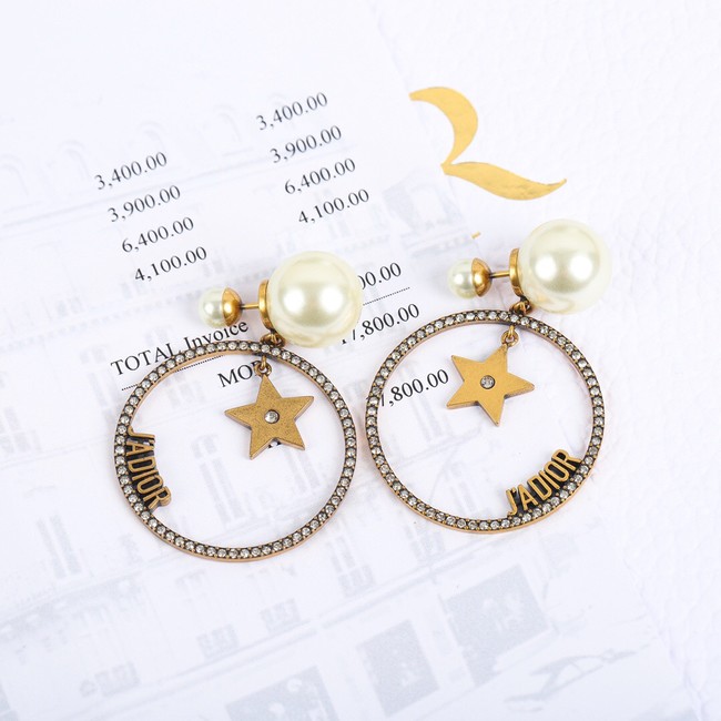 Dior Earrings CE10432