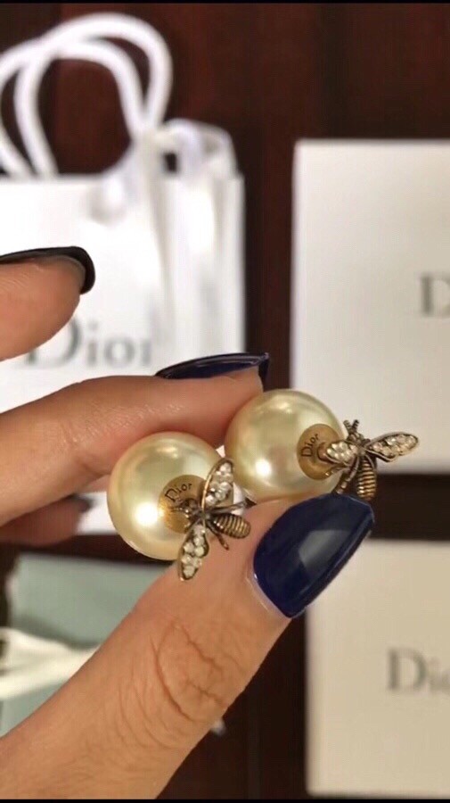 Dior Earrings CE10657