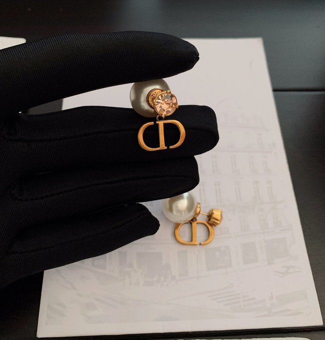 Dior Earrings CE10808