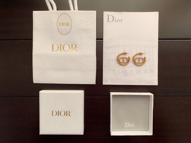 Dior Earrings CE10839