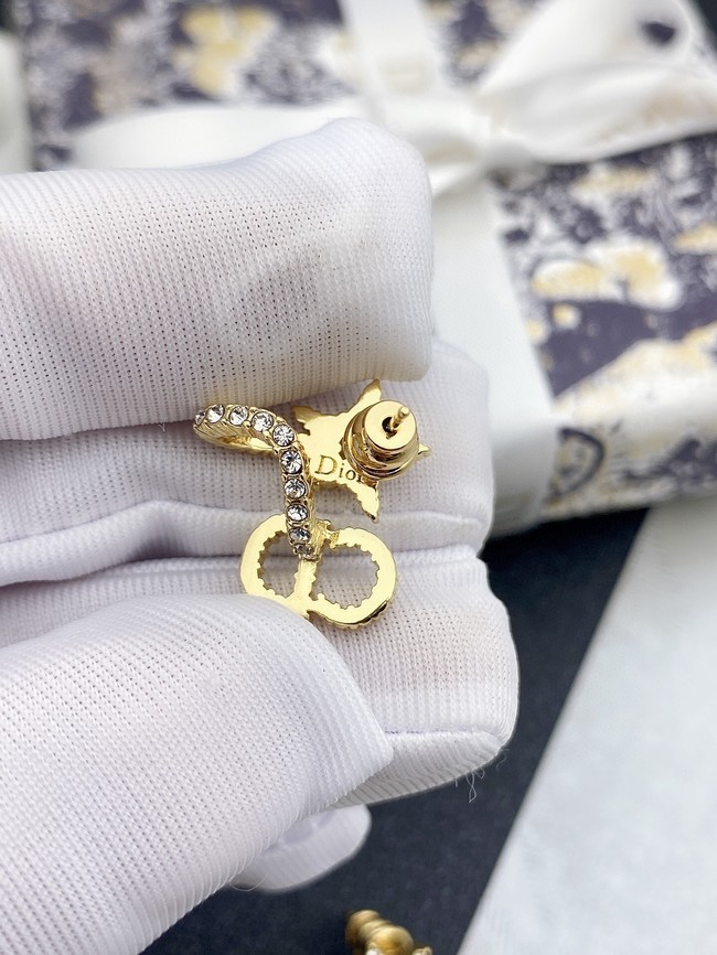 Dior Earrings CE10943