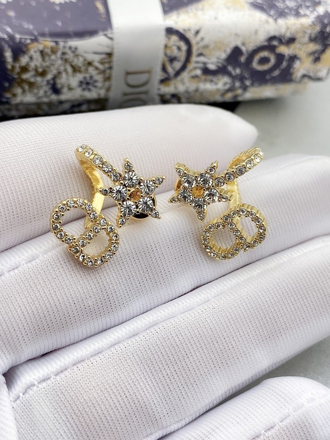 Dior Earrings CE10943