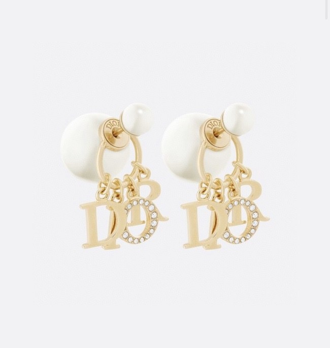 Dior Earrings CE10944