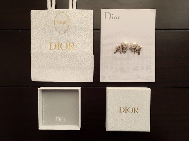 Dior Earrings CE11115