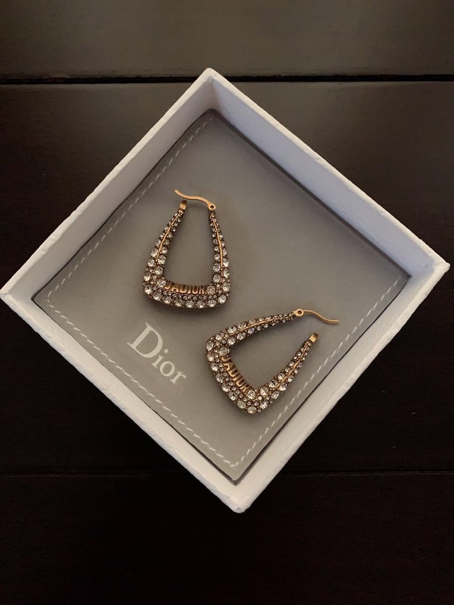 Dior Earrings CE11117