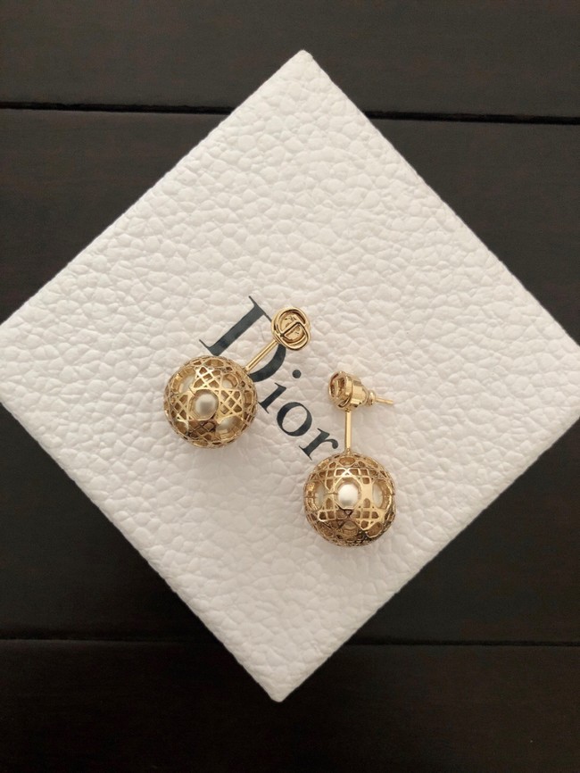 Dior Earrings CE11120