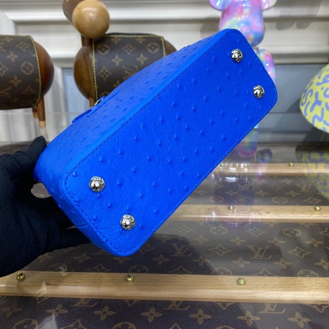 Louis Vuitton CAPUCINES MINI M93483 blue