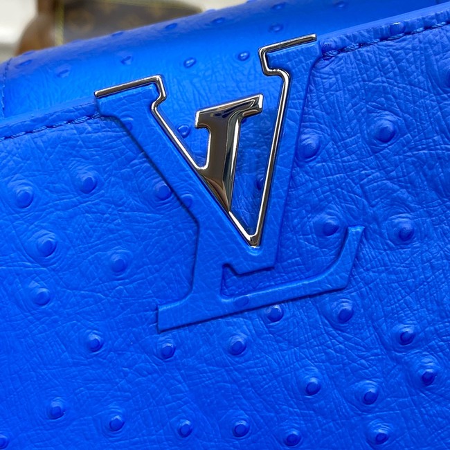 Louis Vuitton CAPUCINES MINI M93483 blue