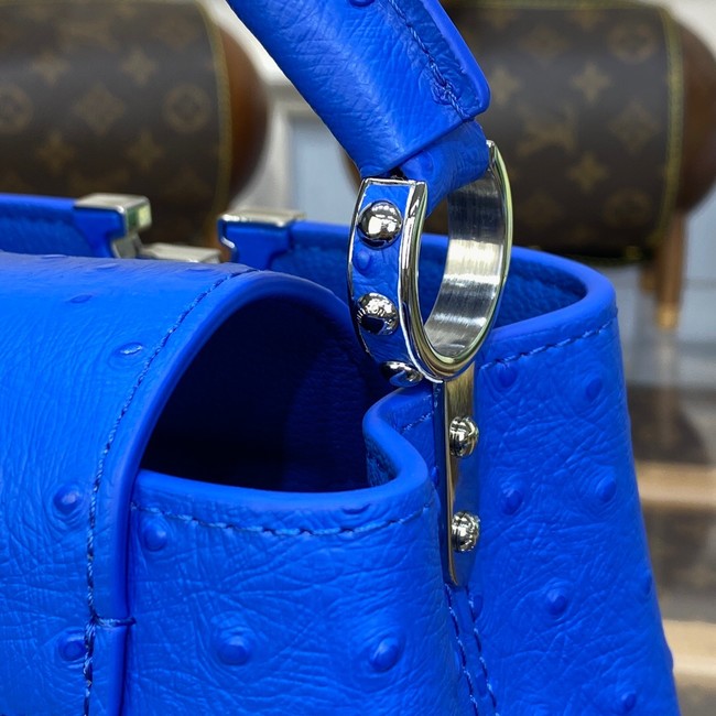 Louis Vuitton CAPUCINES MINI M93483 blue