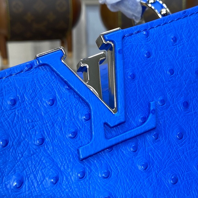 Louis Vuitton CAPUCINES BB M48865 blue