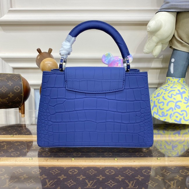 Louis Vuitton CAPUCINES BB N93164 blue