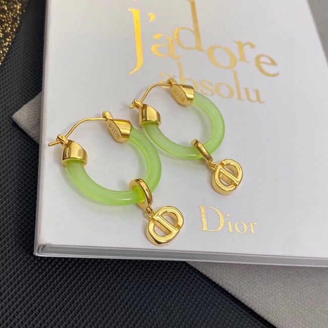 Dior Earrings CE11198