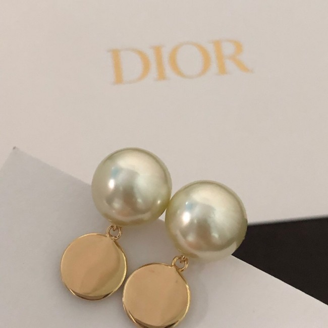 Dior Earrings CE11255