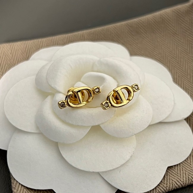 Dior Earrings CE11264