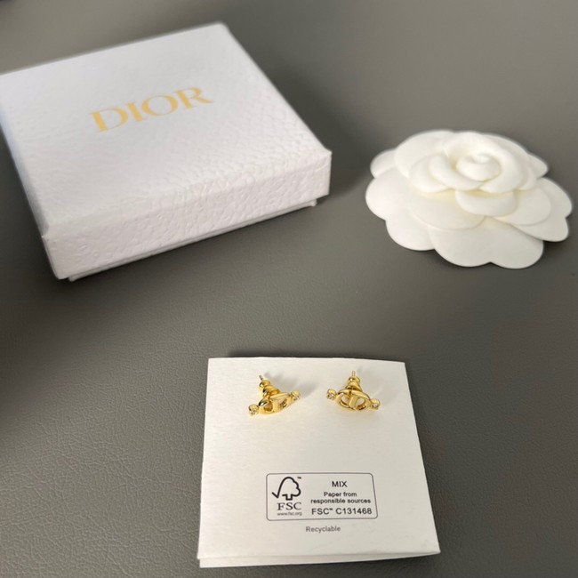 Dior Earrings CE11264