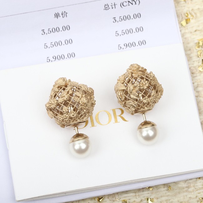 Dior Earrings CE11297