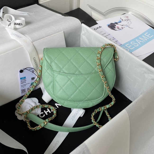 Chanel Shoulder Bag AS3867 green