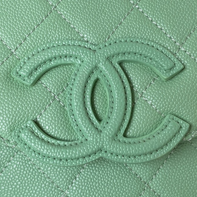 Chanel Shoulder Bag AS3867 green