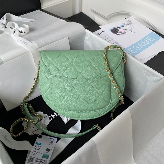 Chanel Shoulder Bag AS3919 green